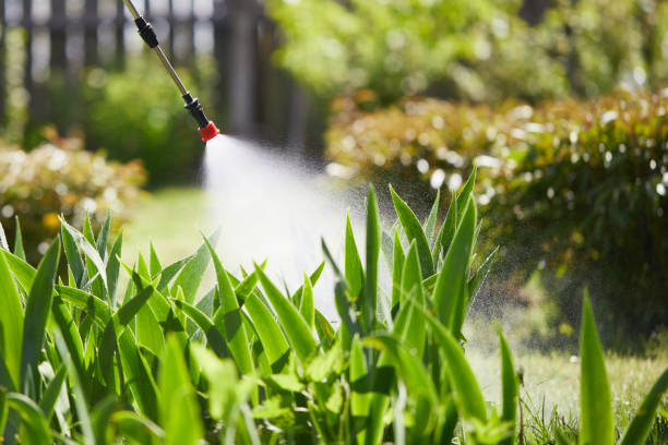 24/7 Emergency Cockroach Control experts in Hartford, AL
