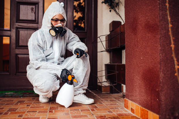 Reliable Cockroach Control contractor in Hartford, AL by Nex Pest Control