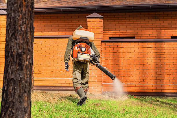 Trusted Termite Control service in Hartford, AL - Nex Pest Control
